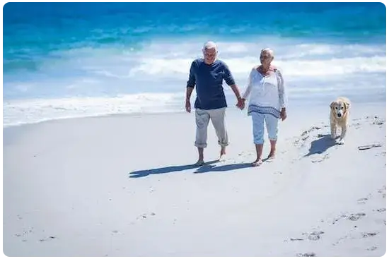 Senior couple walking hand in hand on the beach with their dog enjoying a peaceful day by the ocean
